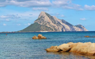 Case vacanze Olbia: mare e storia in Sardegna