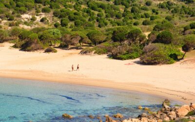 Appartamenti sud Sardegna: alla scoperta delle spiagge più belle