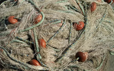 Scoprire i Piatti Tradizionali di Stintino: Gusta un’Esperienza Unica