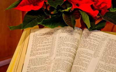 Curiosità sulla Sardegna: storia, leggende e tradizioni